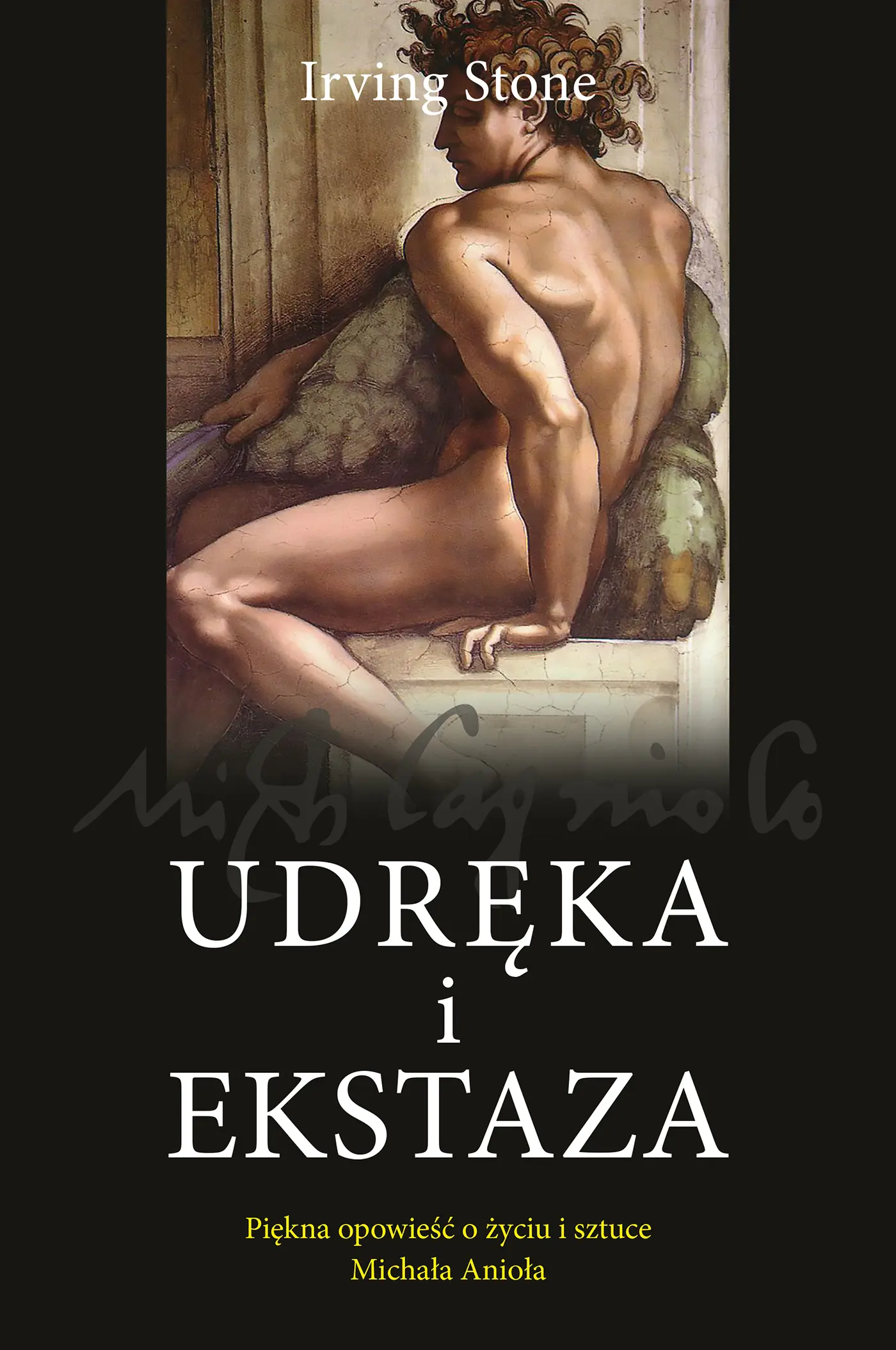 Udręka i ekstaza - Książki