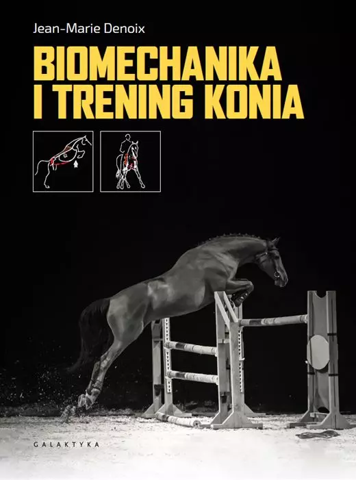 Biomechanika i trening konia - Książki