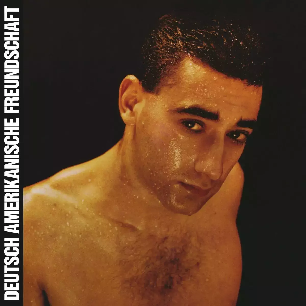 Alles Ist Gut, LP - Muzyka