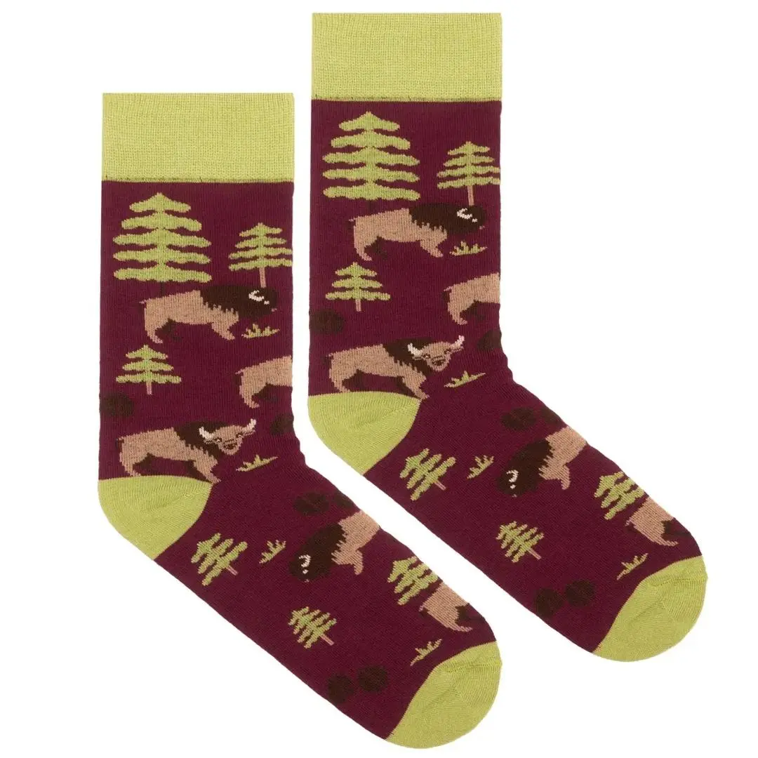 Skarpetki bawełna organiczna żubr 36-41 - Mama i dziecko