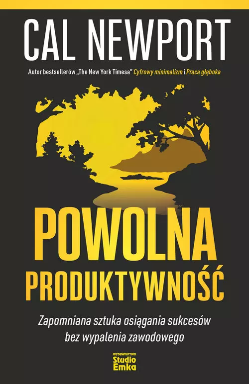 Powolna produktywność. Zapomniana sztuka osiągania sukcesów bez wypalenia zawodowego - Książki