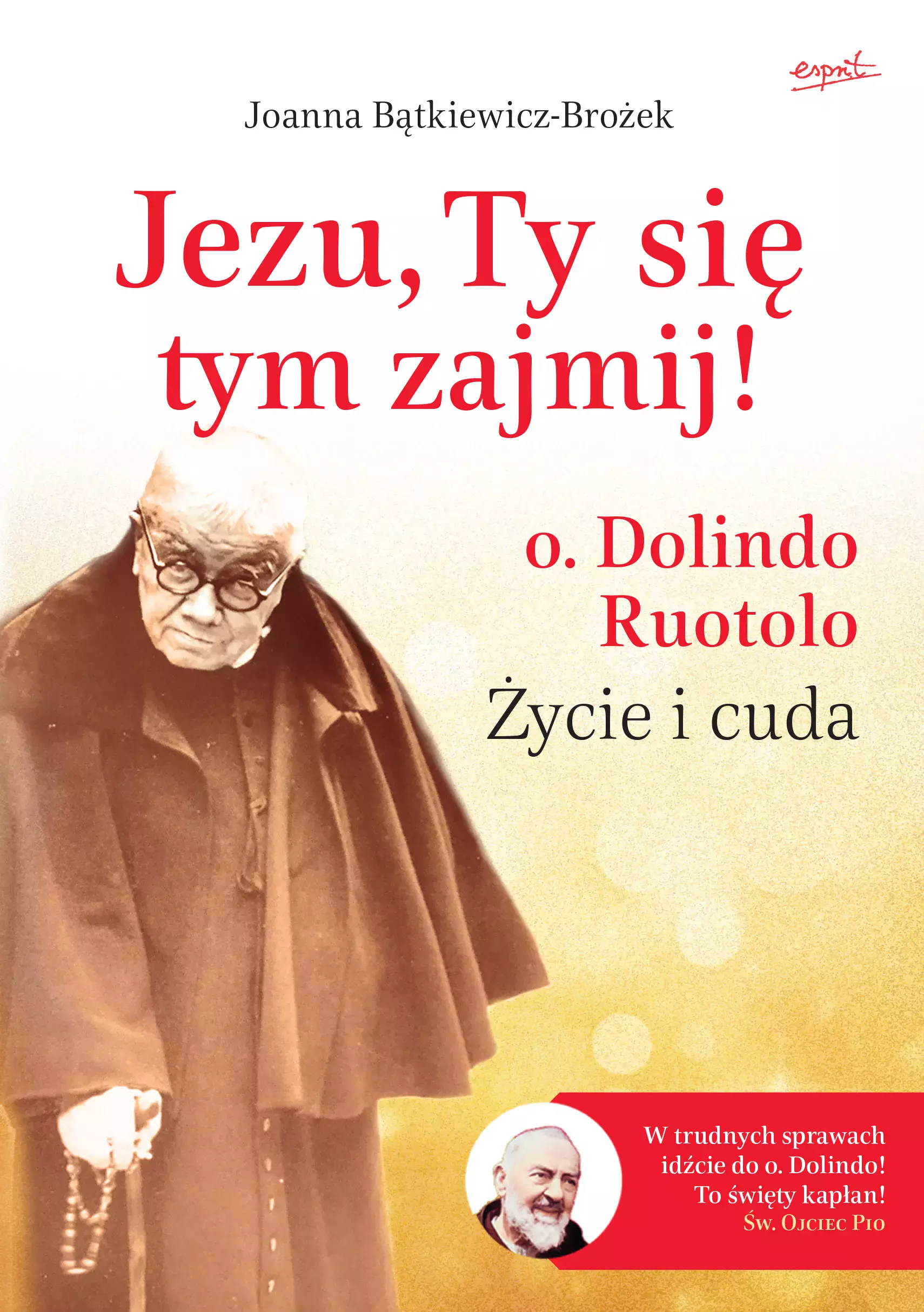 Jezu, Ty się tym zajmij! o. Dolindo Ruotolo. Życie i cuda - Książki
