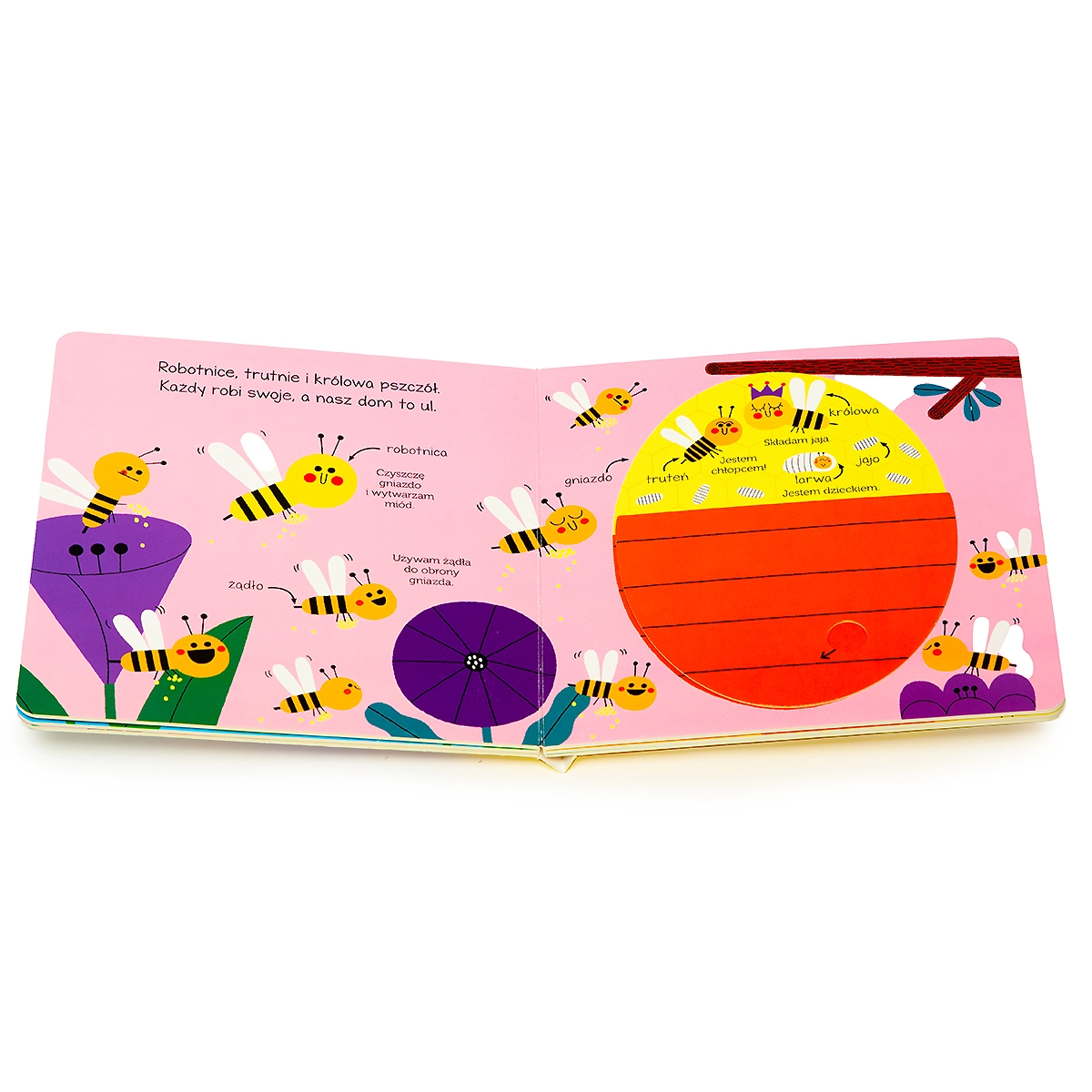 Akademia mądrego dziecka. Pokochaj naturę. Pszczoła - Książki