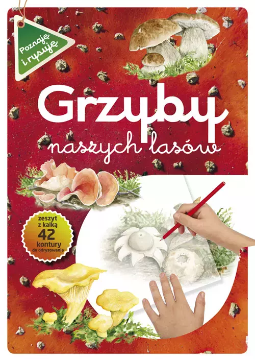 Grzyby naszych lasów - Książki