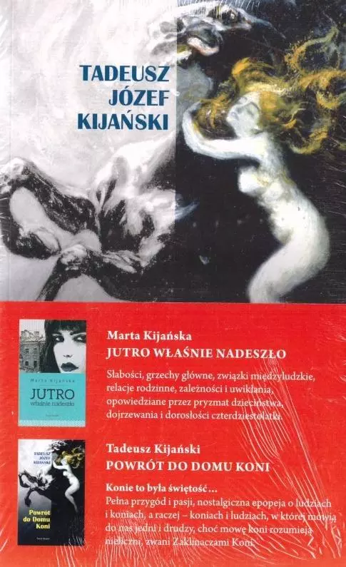 Pakiet: Jutro właśnie nadeszło/ Powrót do domu.. - Książki