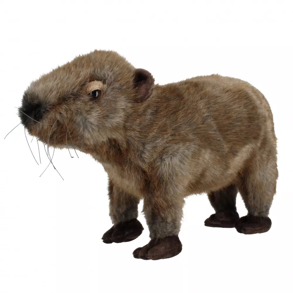 Maskotka kapibara, 33 cm