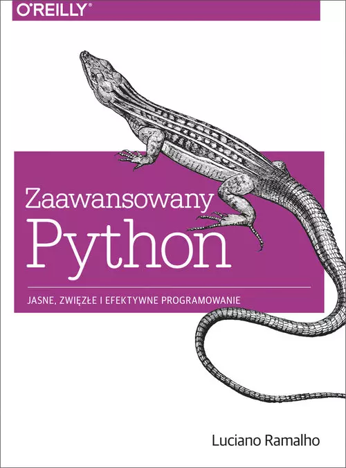 Zaawansowany Python. Jasne, zwięzłe i efektywne programowanie - Książki
