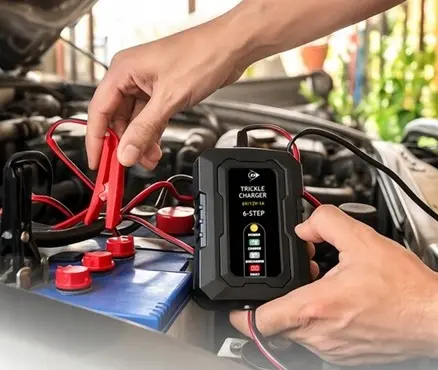 Prostownik do Akumulatorów Dunlop 6/12V - Elektronika i akcesoria