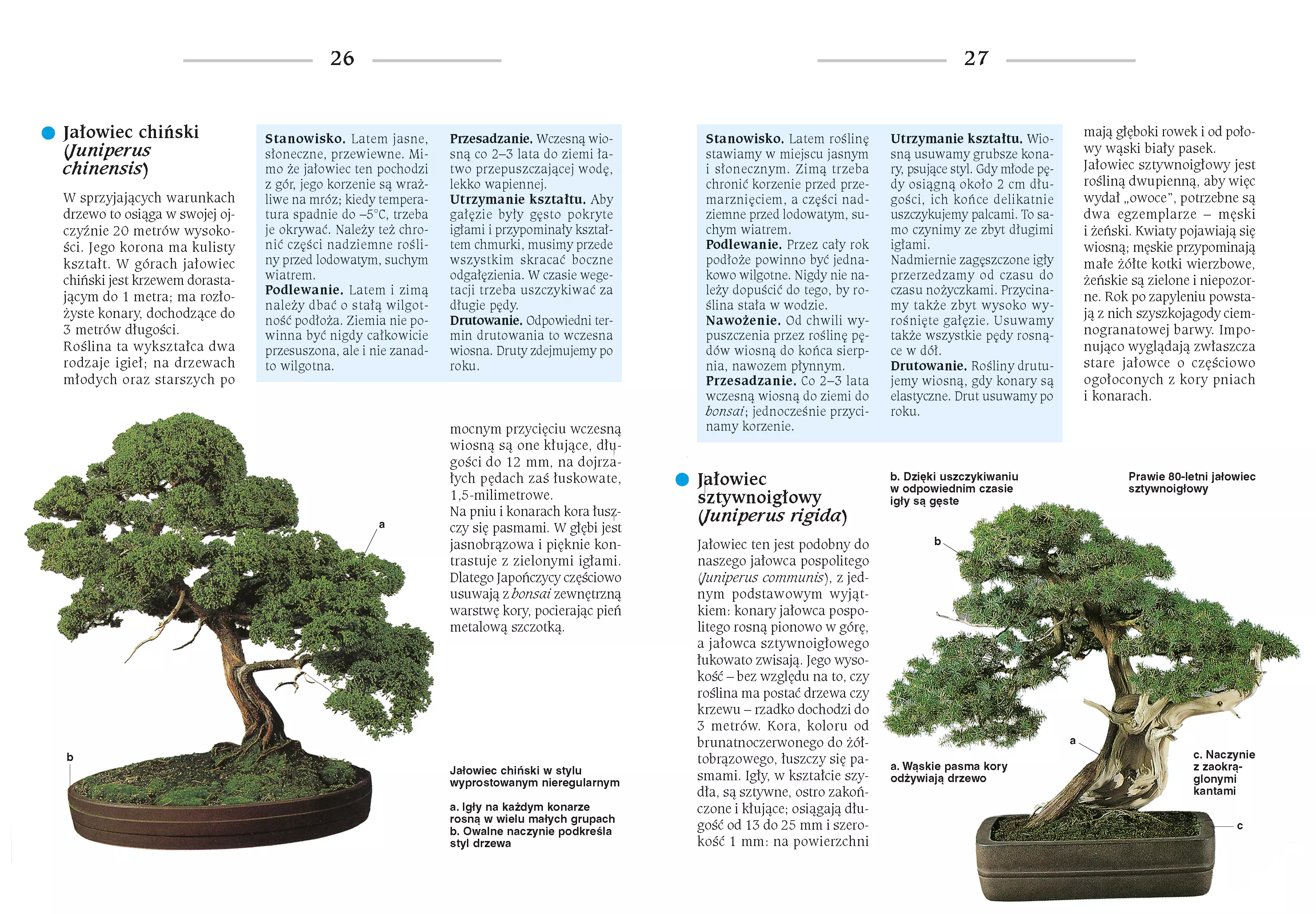 Bonsai to może być proste - Książki