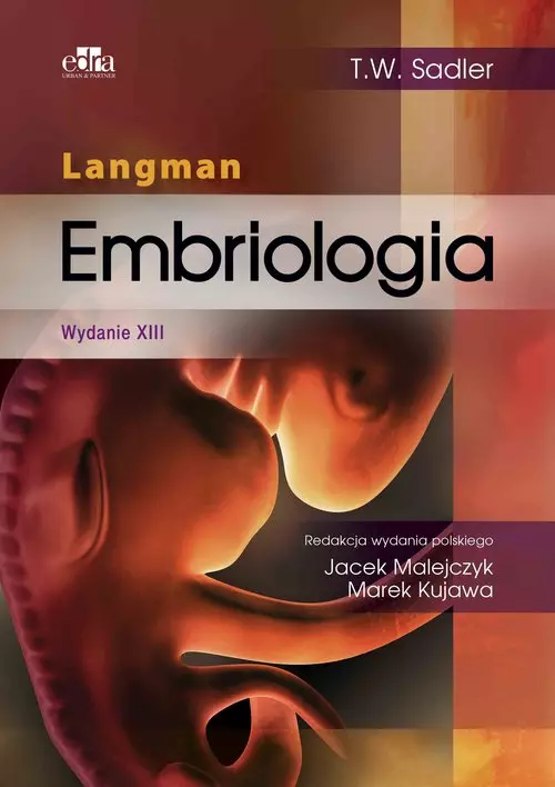 Langman. Embriologia, wydanie XIII - Książki