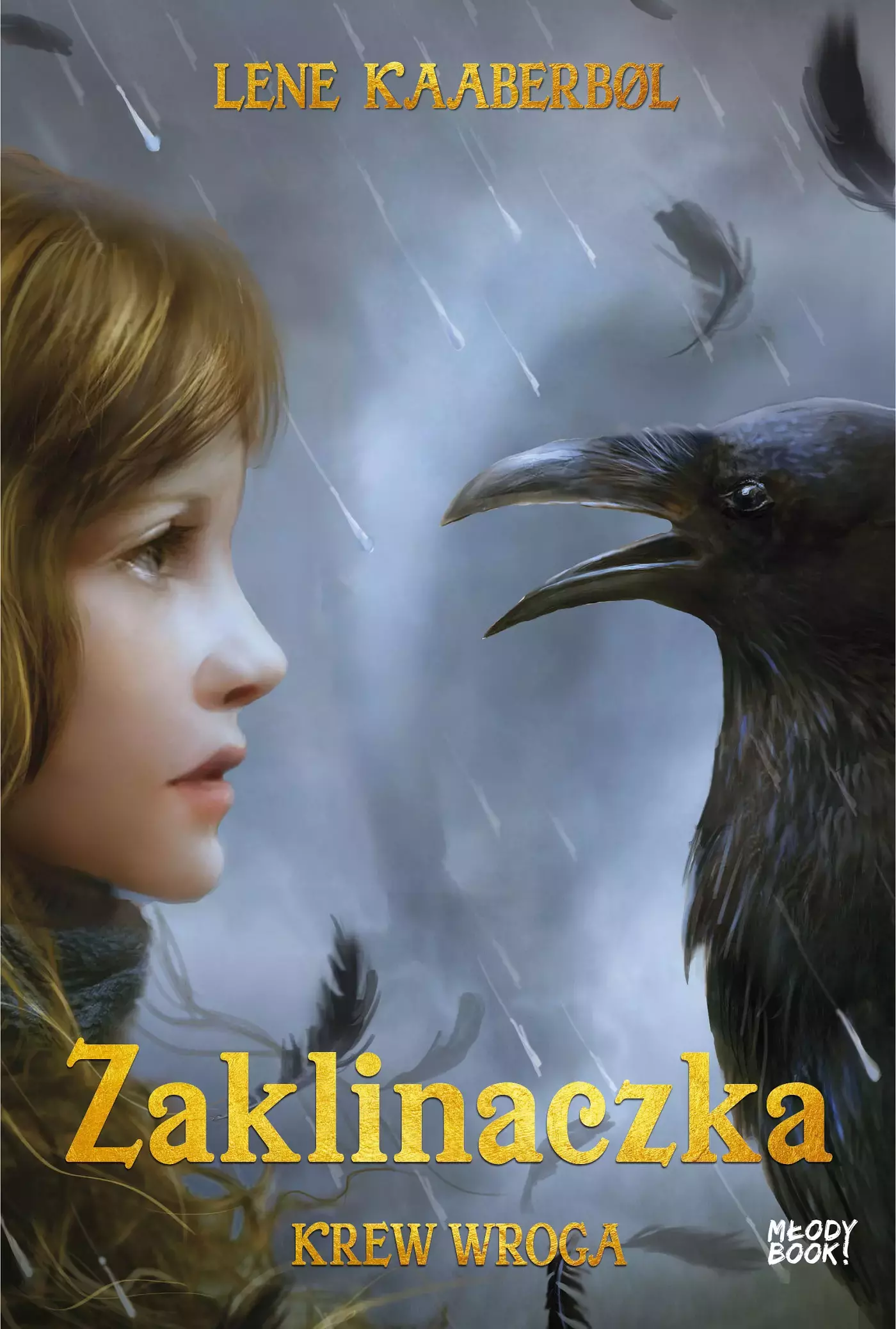 Zaklinaczka. Tom 5. Krew wroga - Książki