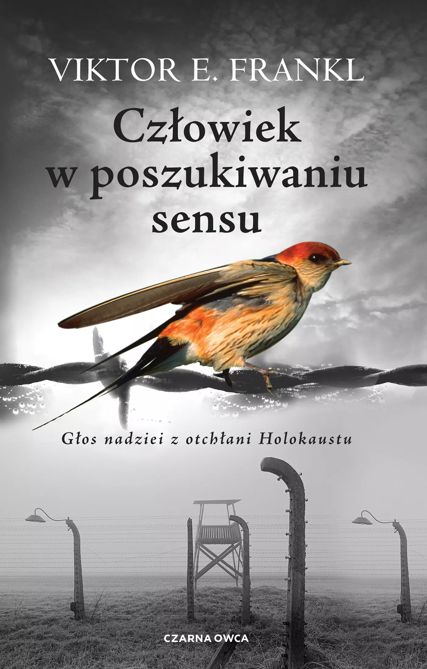 Człowiek w poszukiwaniu sensu - Książki