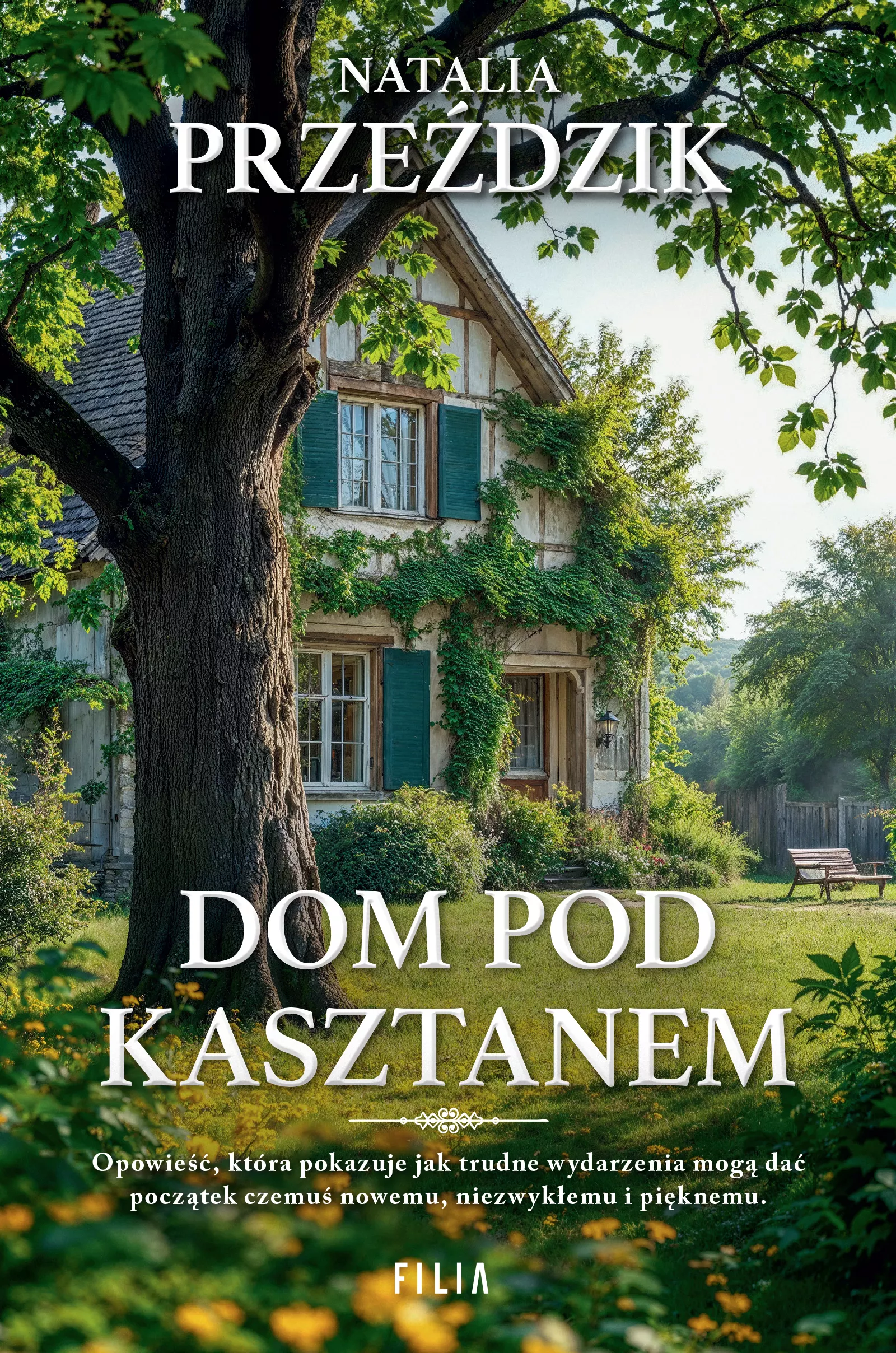 Dom pod kasztanem - Książki