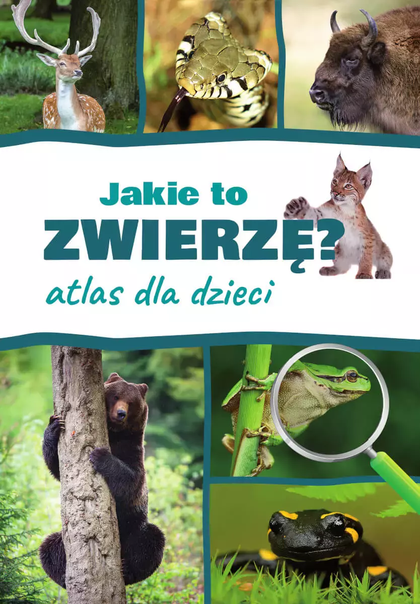 Jakie to zwierzę? Atlas dla dzieci - Książki