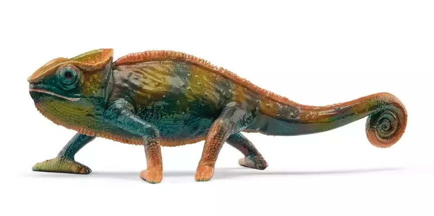 Wild Life. SLH14858. Kameleon