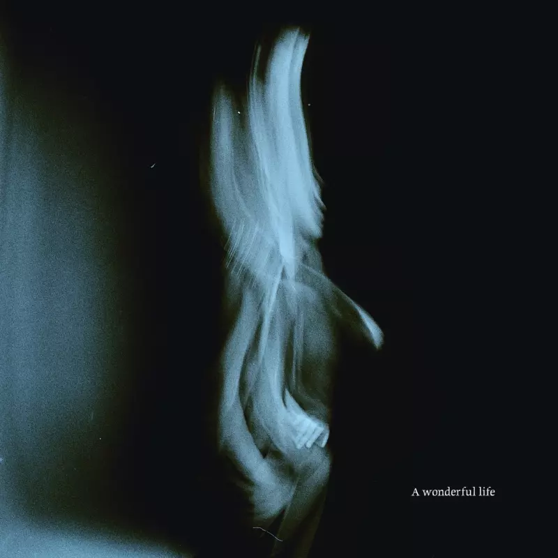 A Wonderful Life, CD - Muzyka