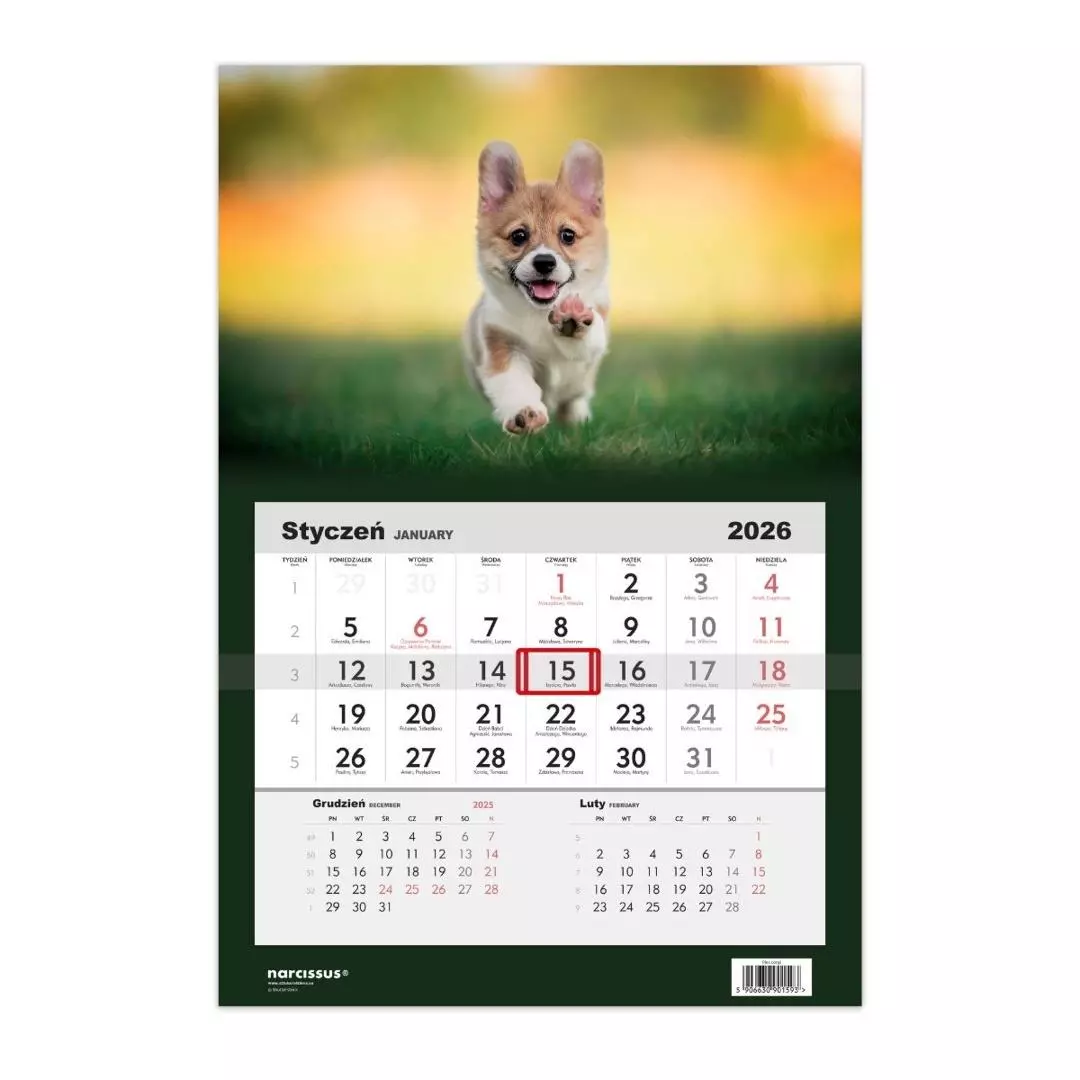 Kalendarz 2026 jednodzielny Pies Corgi HELMA - Książki