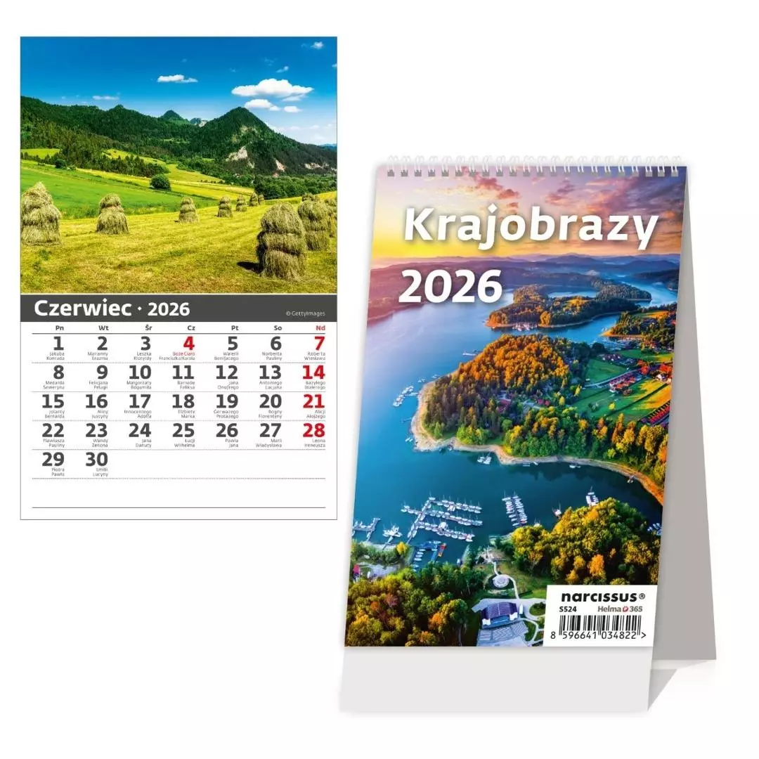 Kalendarz 2026 biurkowy pionowy miesięczny HELMA - Książki