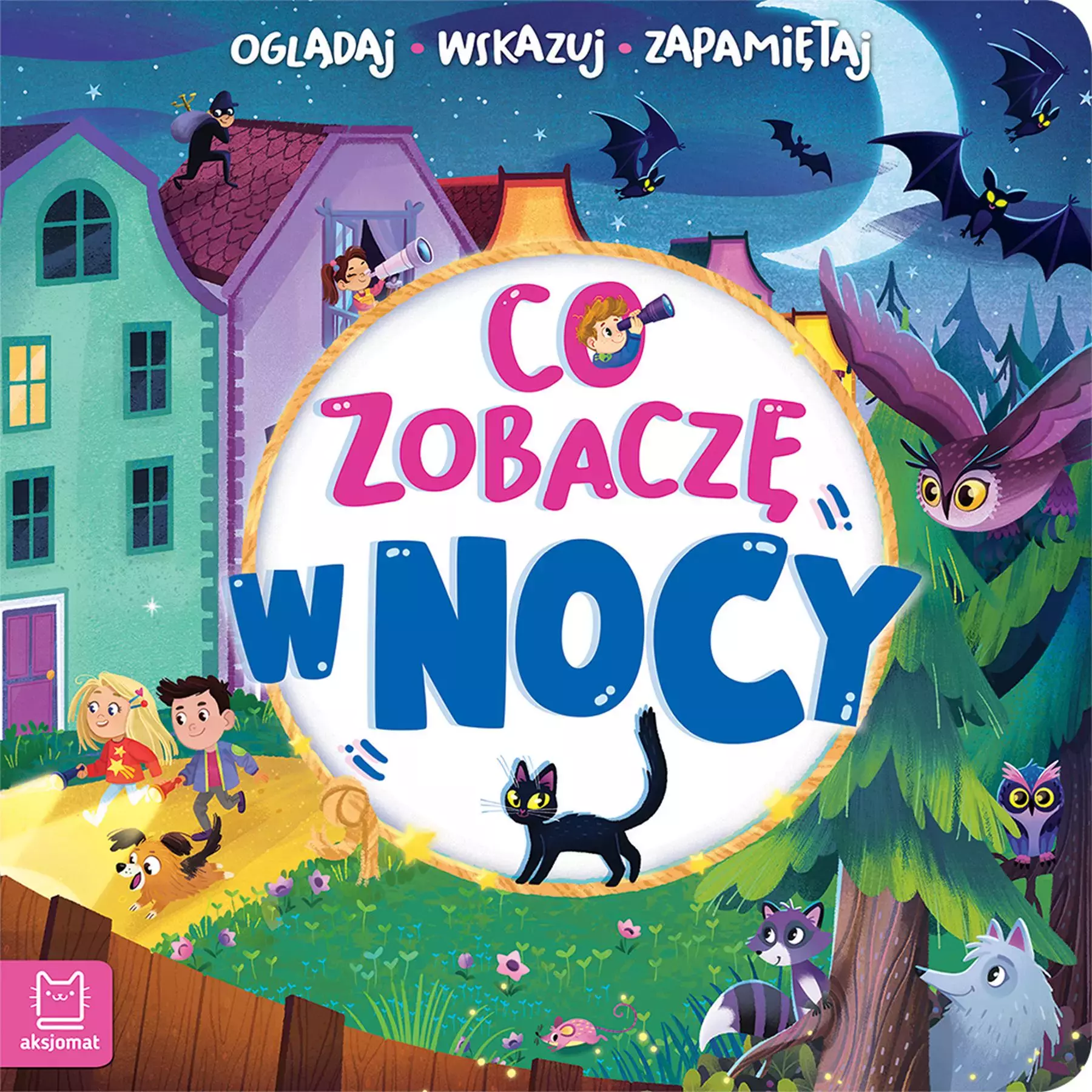 Co zobaczę w nocy. Oglądaj, wskazuj, zapamiętuj - Książki