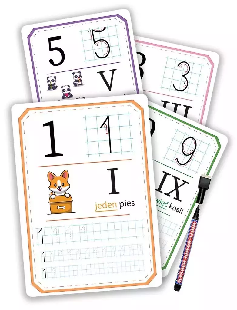 Pisz i zmazuj - Cyfry 11 kart + pisak - Książki