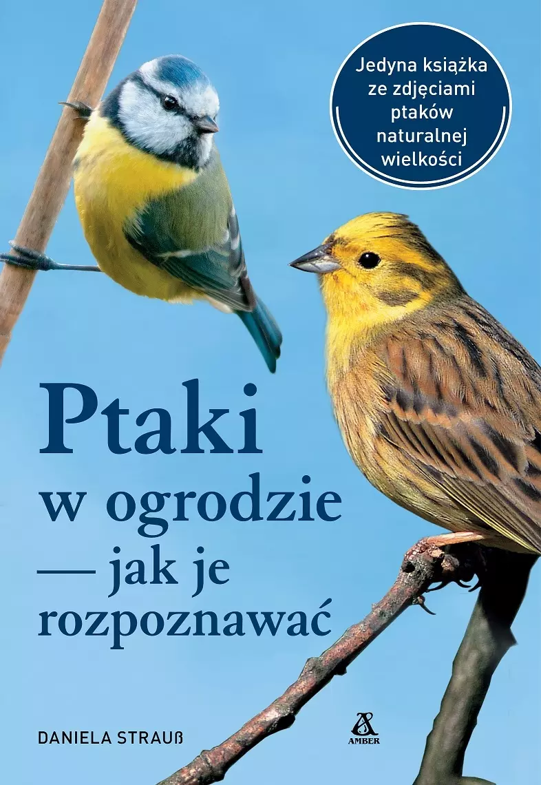 Ptaki w ogrodzie - jak je rozpoznawać - Książki