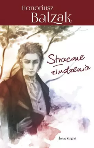 Stracone złudzenia - Książki