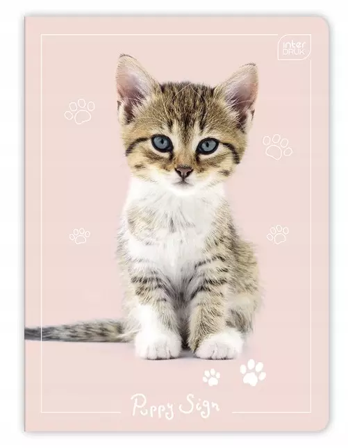 Zeszyt A5 16 k. 3-linie Puppy Sign, Interdruk - Papiernicze i szkolne