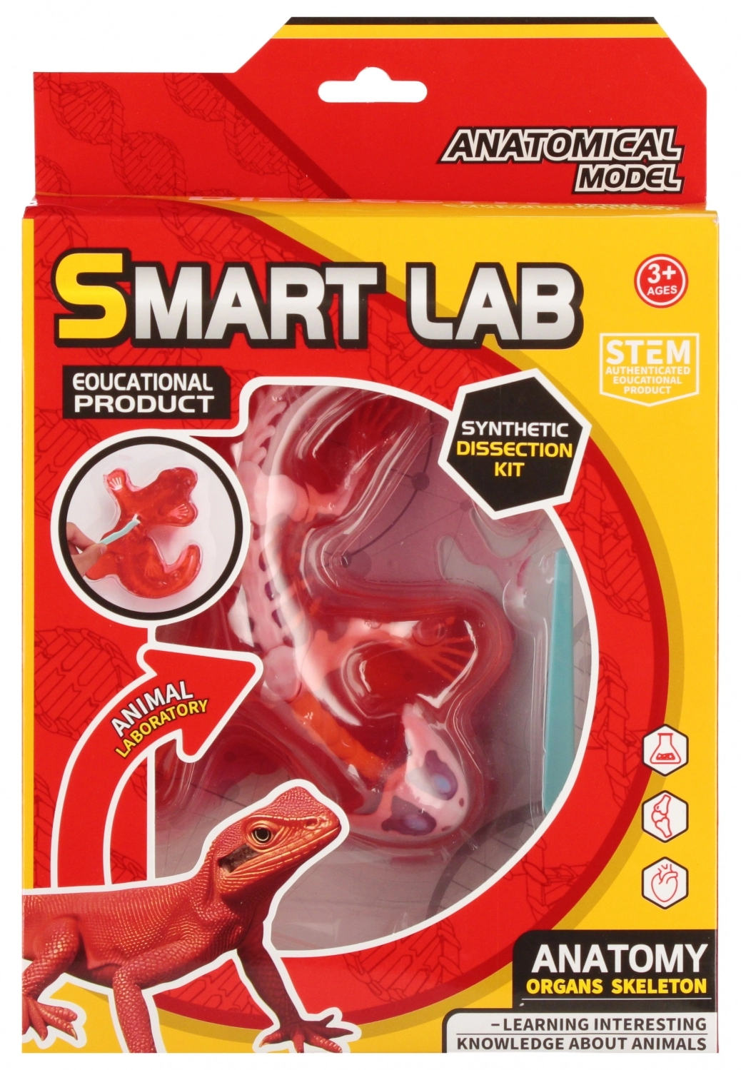 Zestaw Naukowca Anatomia Jaszczurka Mega Creative 567931 - Zabawki