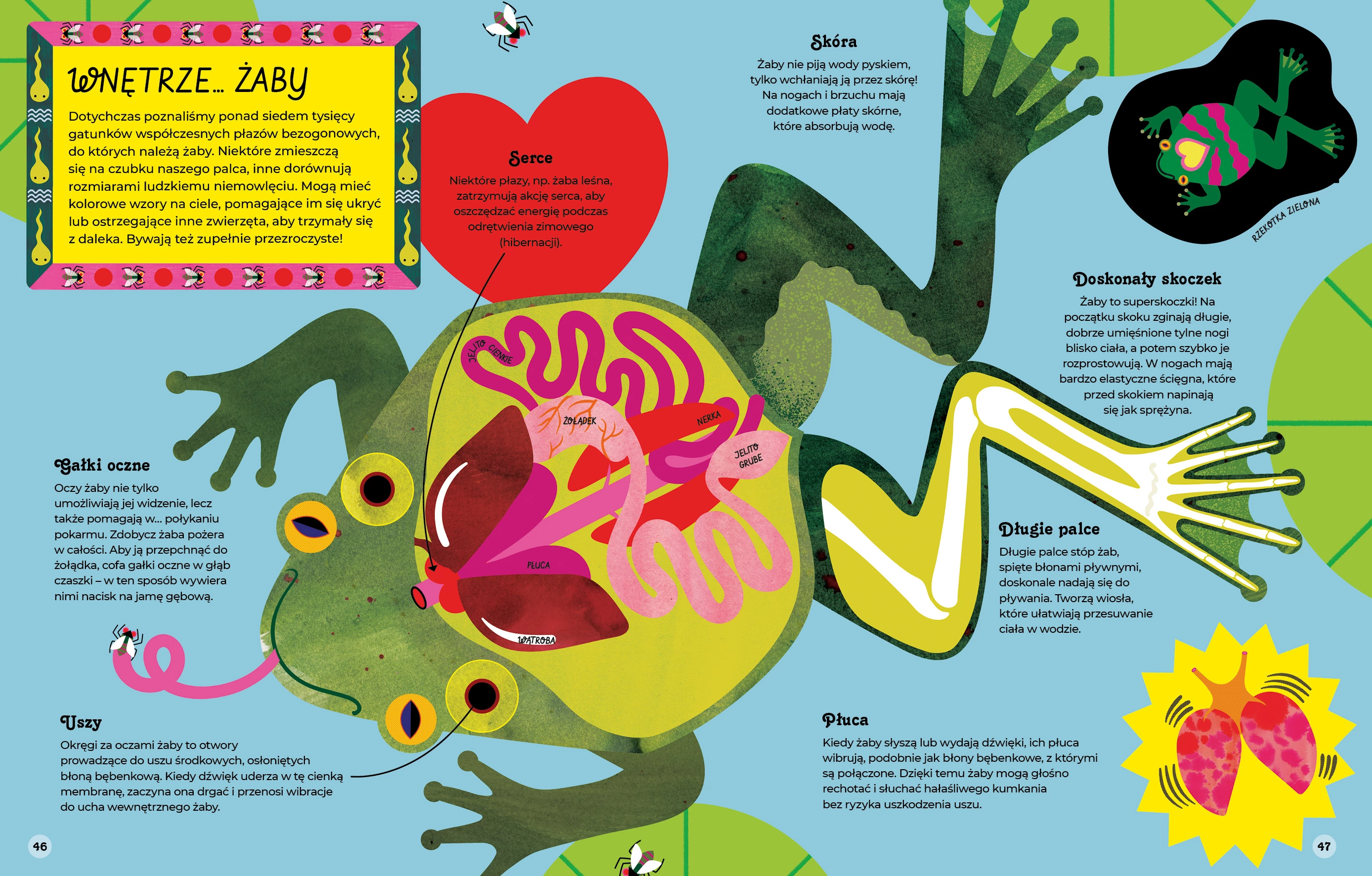 Wnętrza zwierząt - Książki