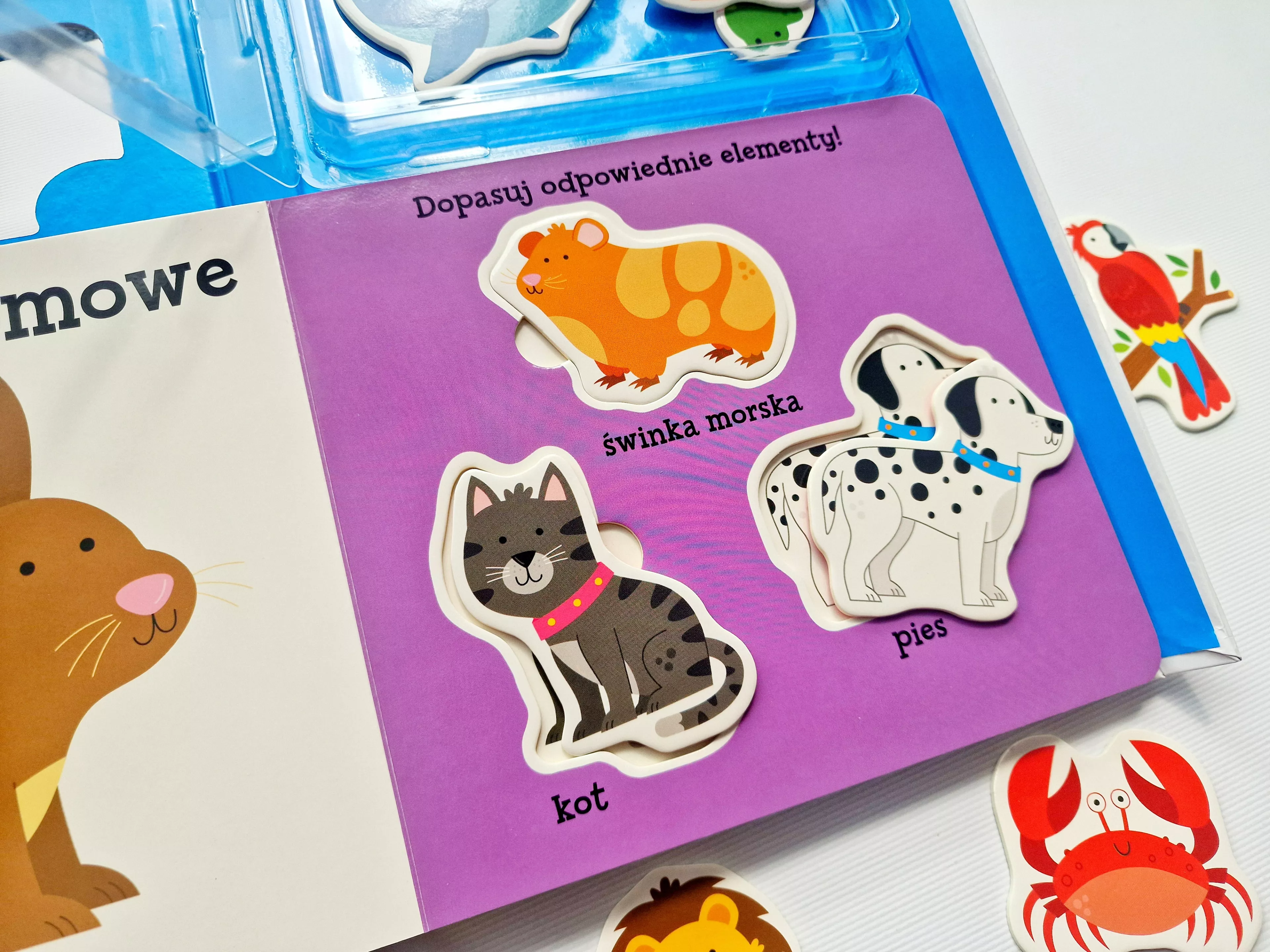 Akademia Mądrego Dziecka. Poznajemy świat. Zwierzęta - Książki