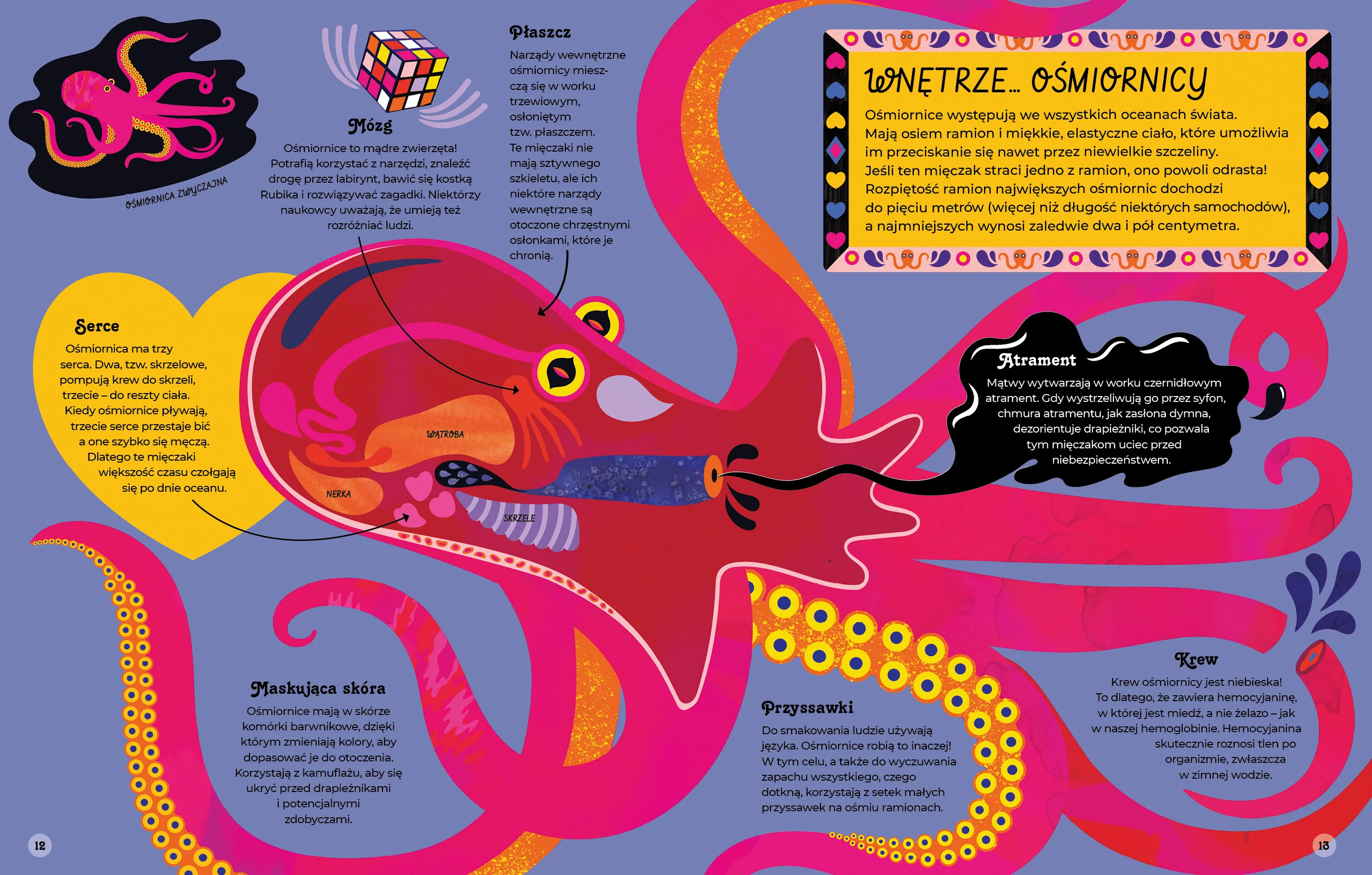 Wnętrza zwierząt - Książki