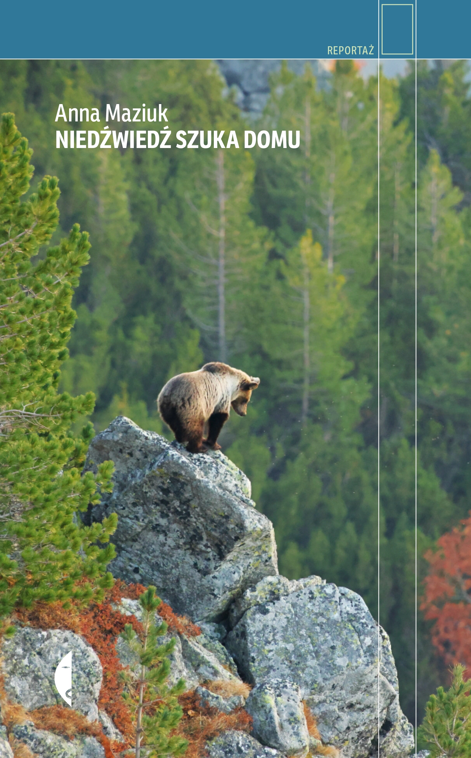 Niedźwiedź szuka domu - Książki