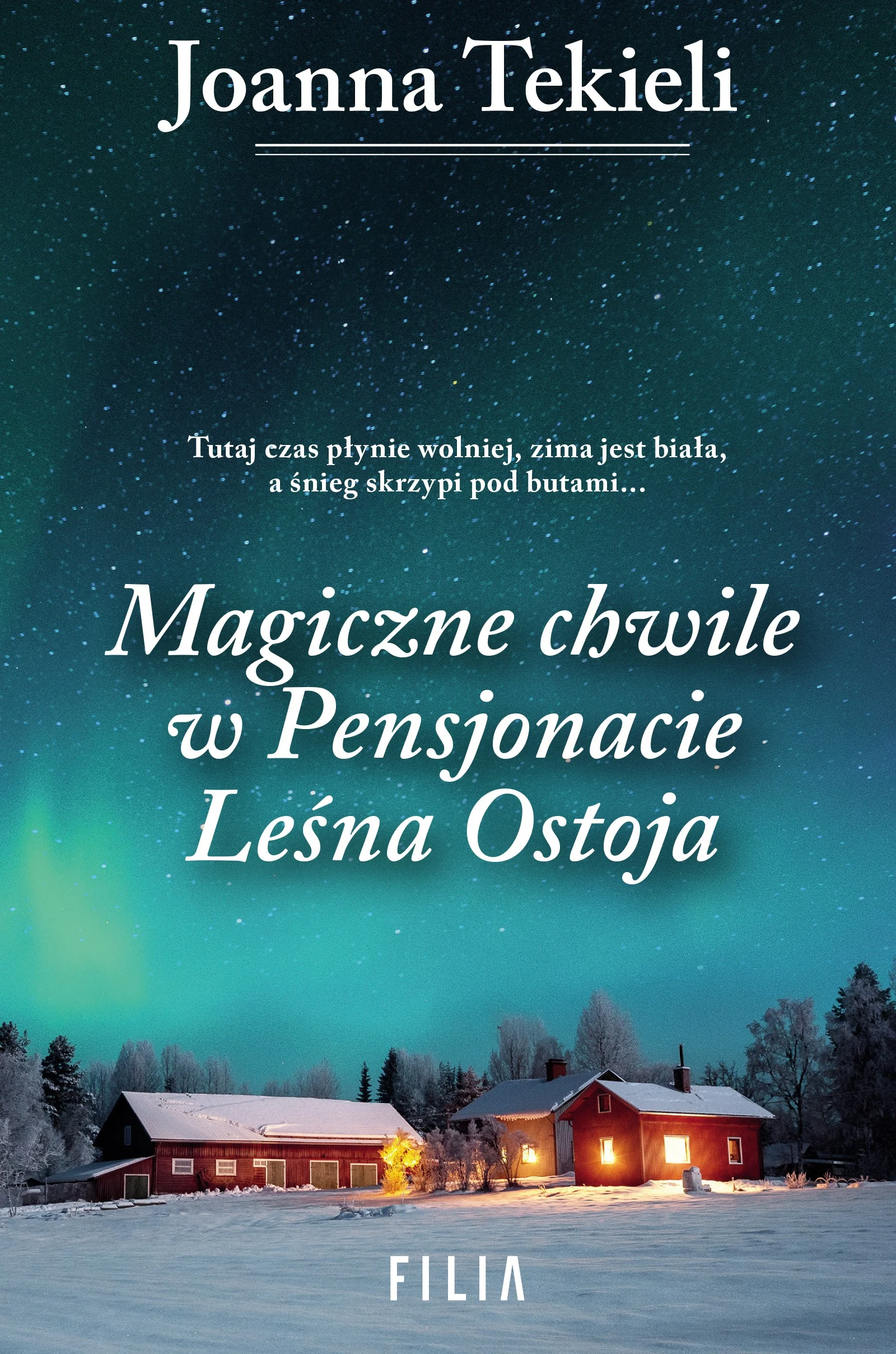 Magiczne chwile w pensjonacie Leśna Ostoja - Książki