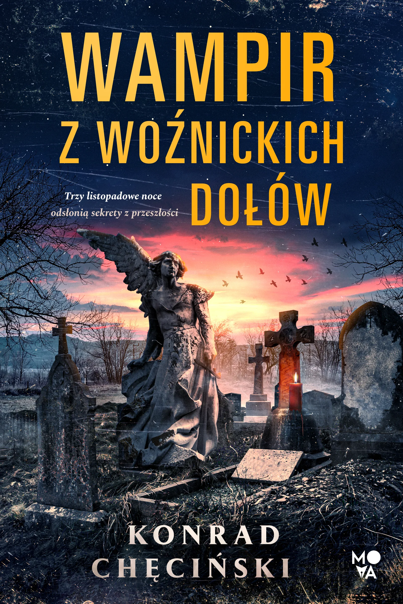 Wampir z Woźnickich Dołów - Książki