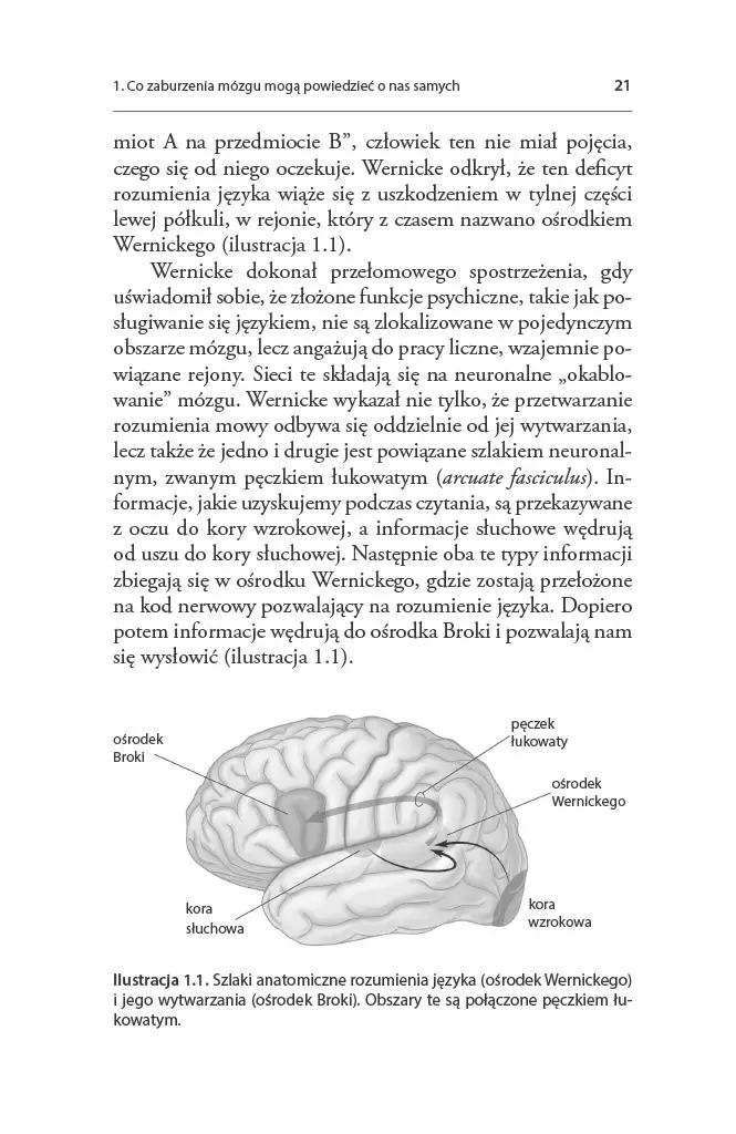 Zaburzony umysł. Co nietypowe mózgi mówią o nas samych - Książki