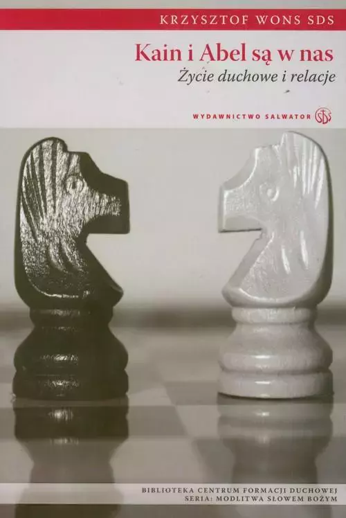 Kain i Abel są w nas - Książki