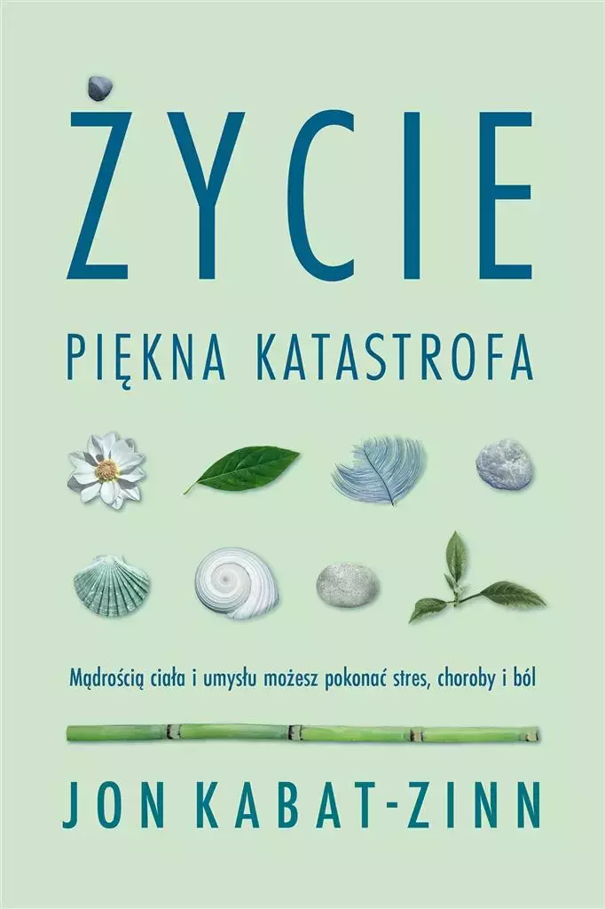 Życie, piękna katastrofa - Książki