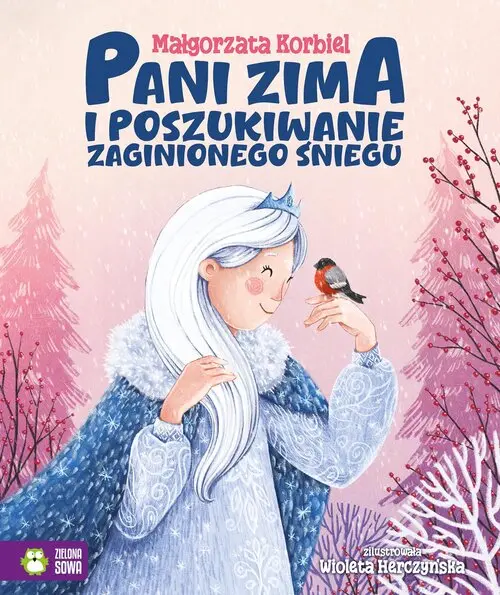 Pani zima i poszukiwanie zaginionego śniegu - Książki