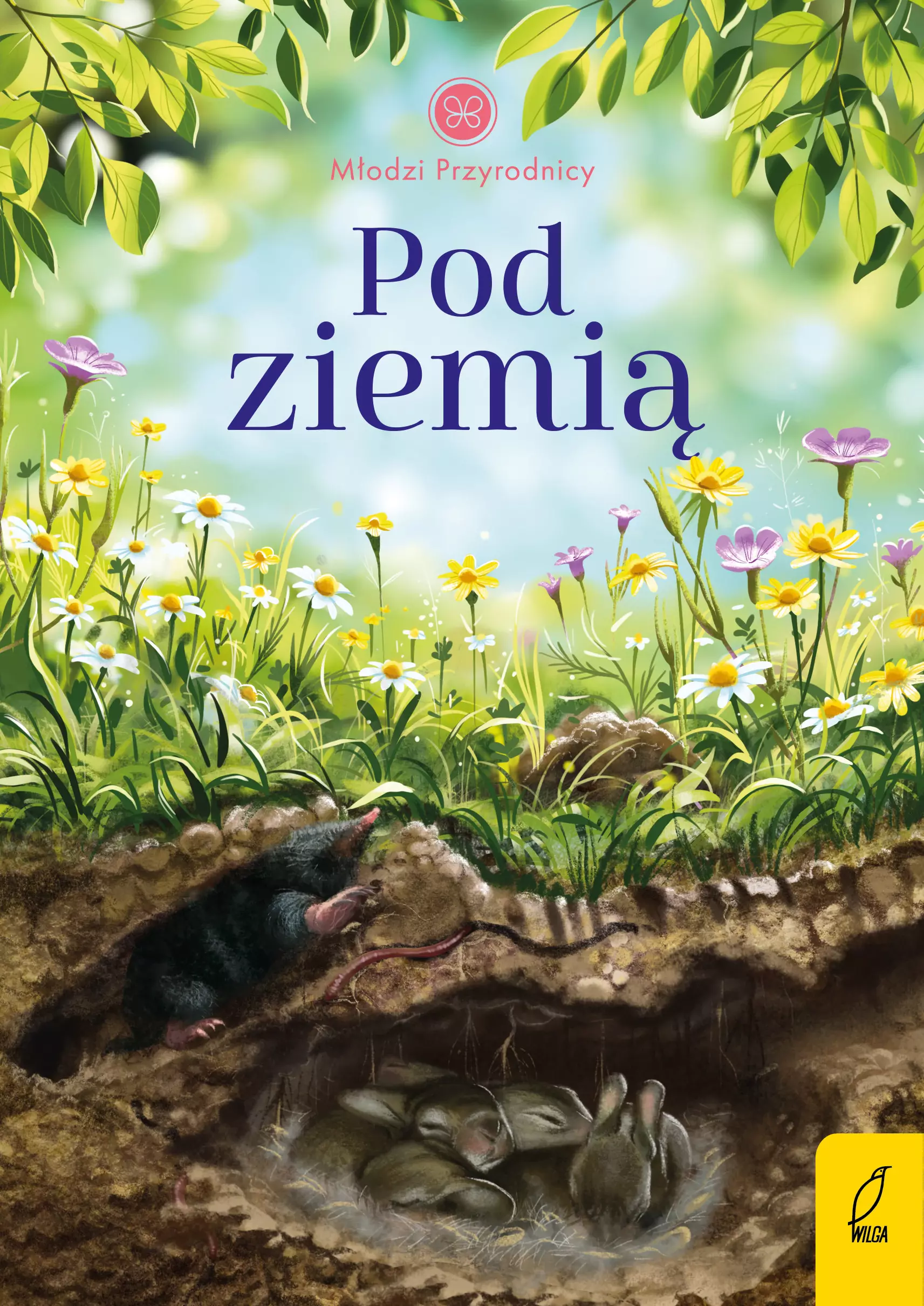 Młodzi przyrodnicy. Pod ziemią. Tom 6 - Książki