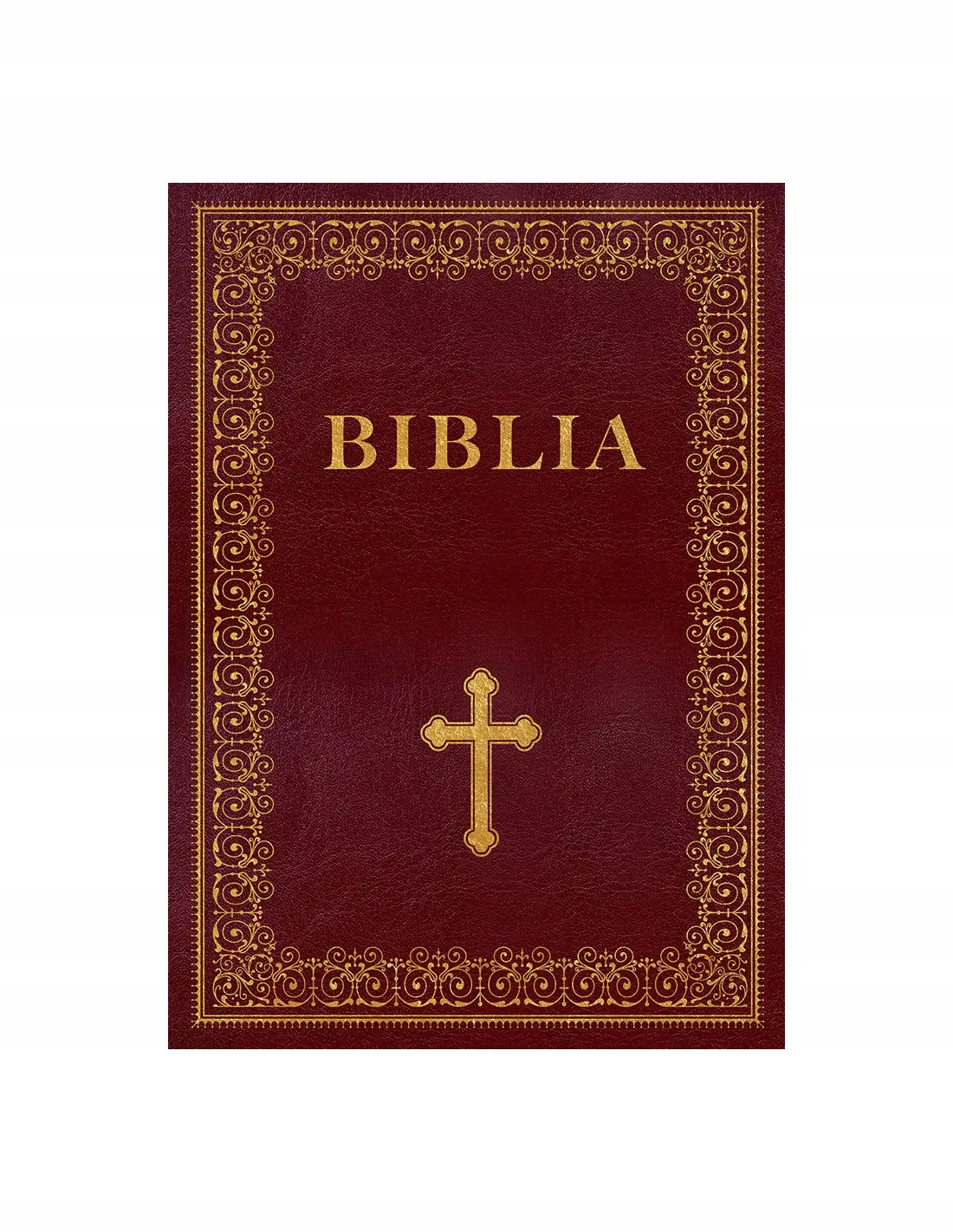 Biblia Edukacyjna - Książki