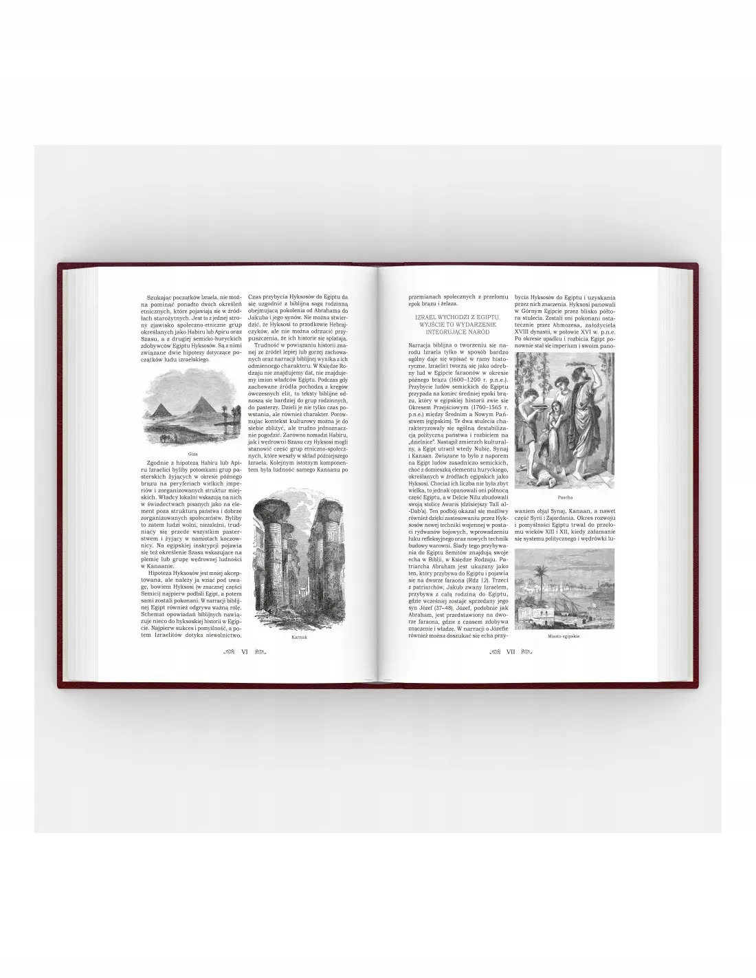 Biblia Edukacyjna - Książki