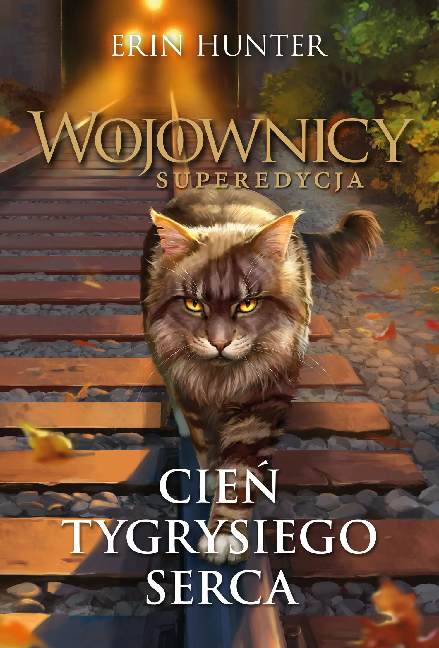 Wojownicy Superedycja. Cień Tygrysiego Serca - Książki
