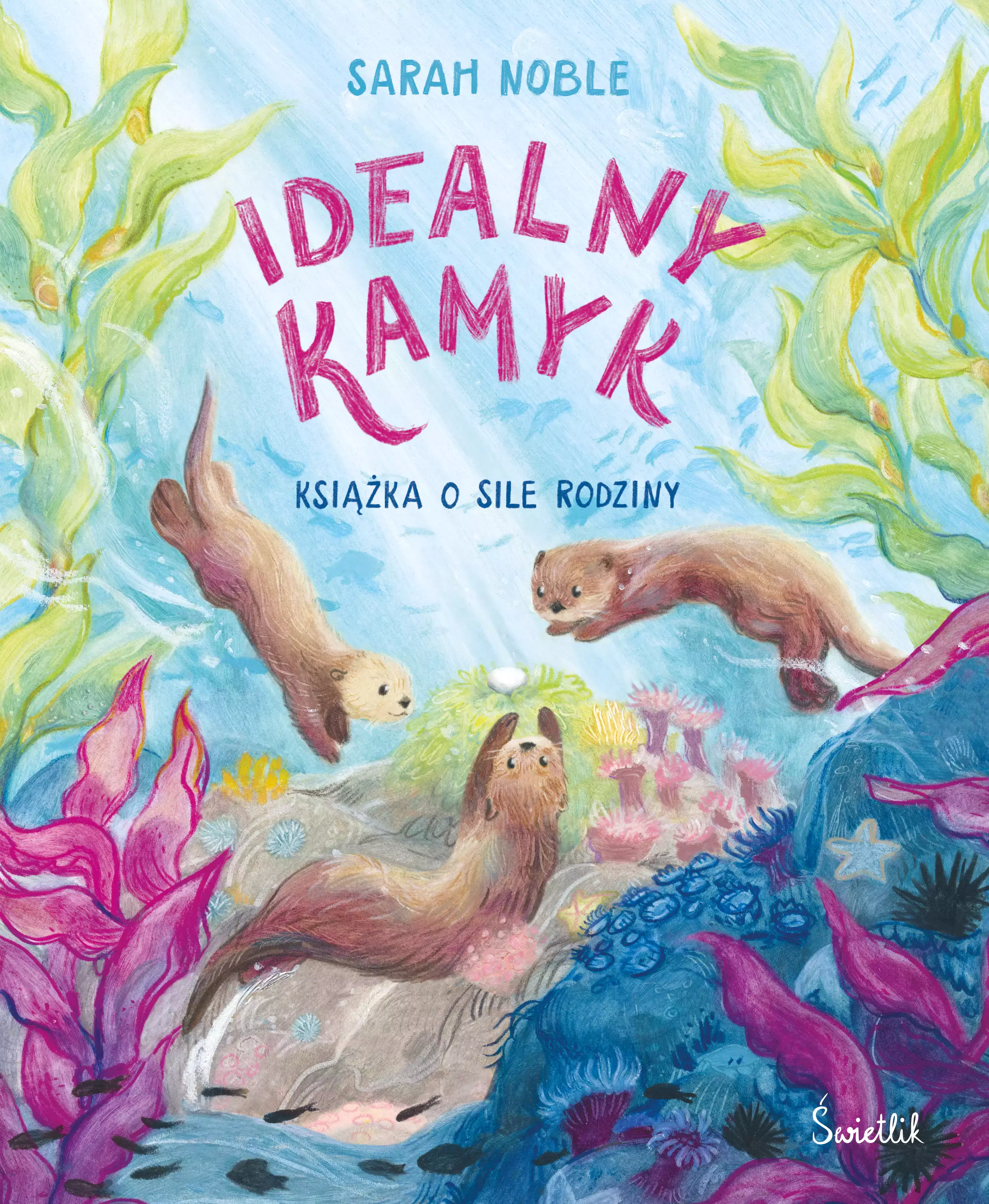 Idealny kamyk. Książka o sile rodziny - Książki