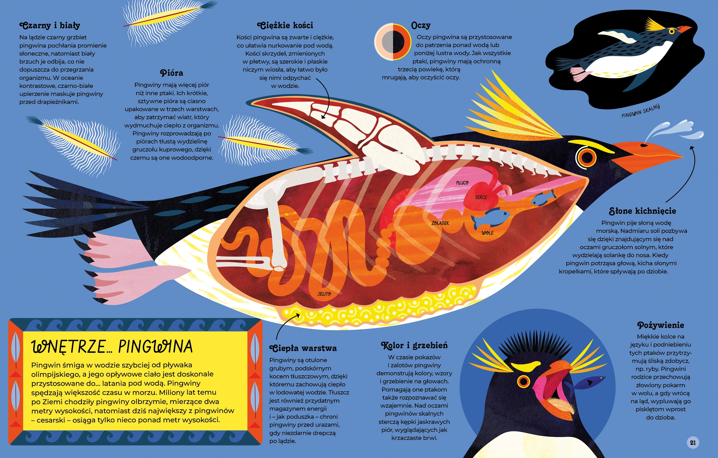 Wnętrza zwierząt - Książki