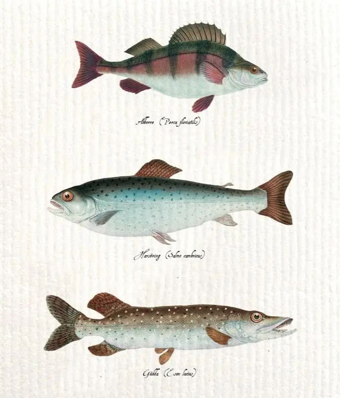 Ściereczka kuchenna Ryby - Mama i dziecko