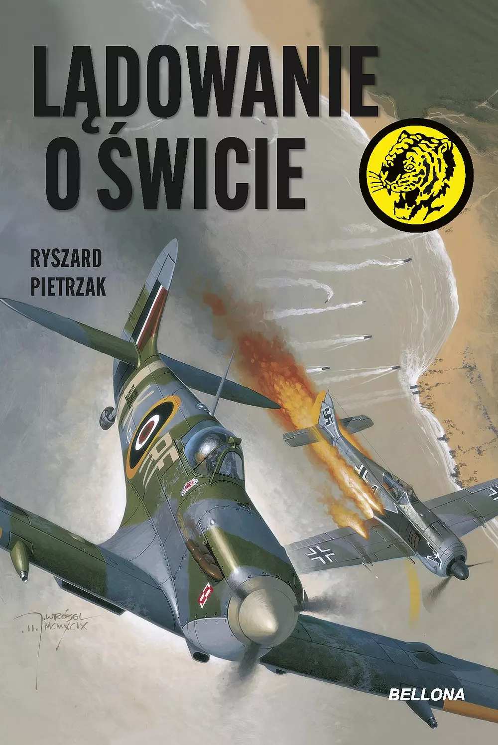 Lądowanie o świcie - Książki