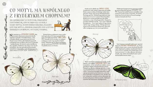 Gąsienice w czekoladzie. I inne tajemnice motyli - Książki