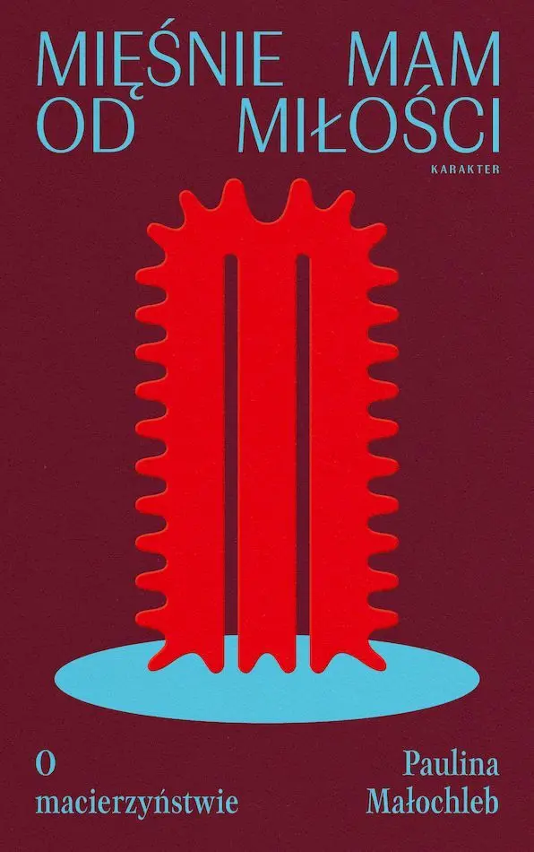 Mięśnie mam od miłości. O macierzyństwie - Książki