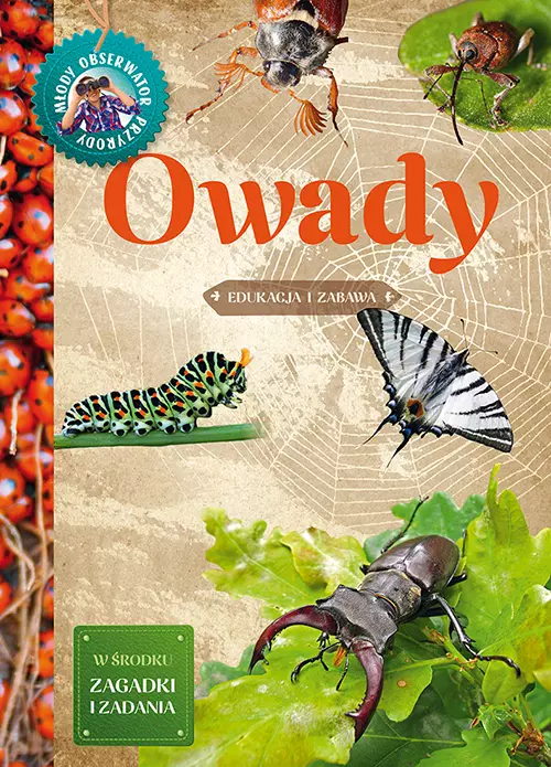 Owady