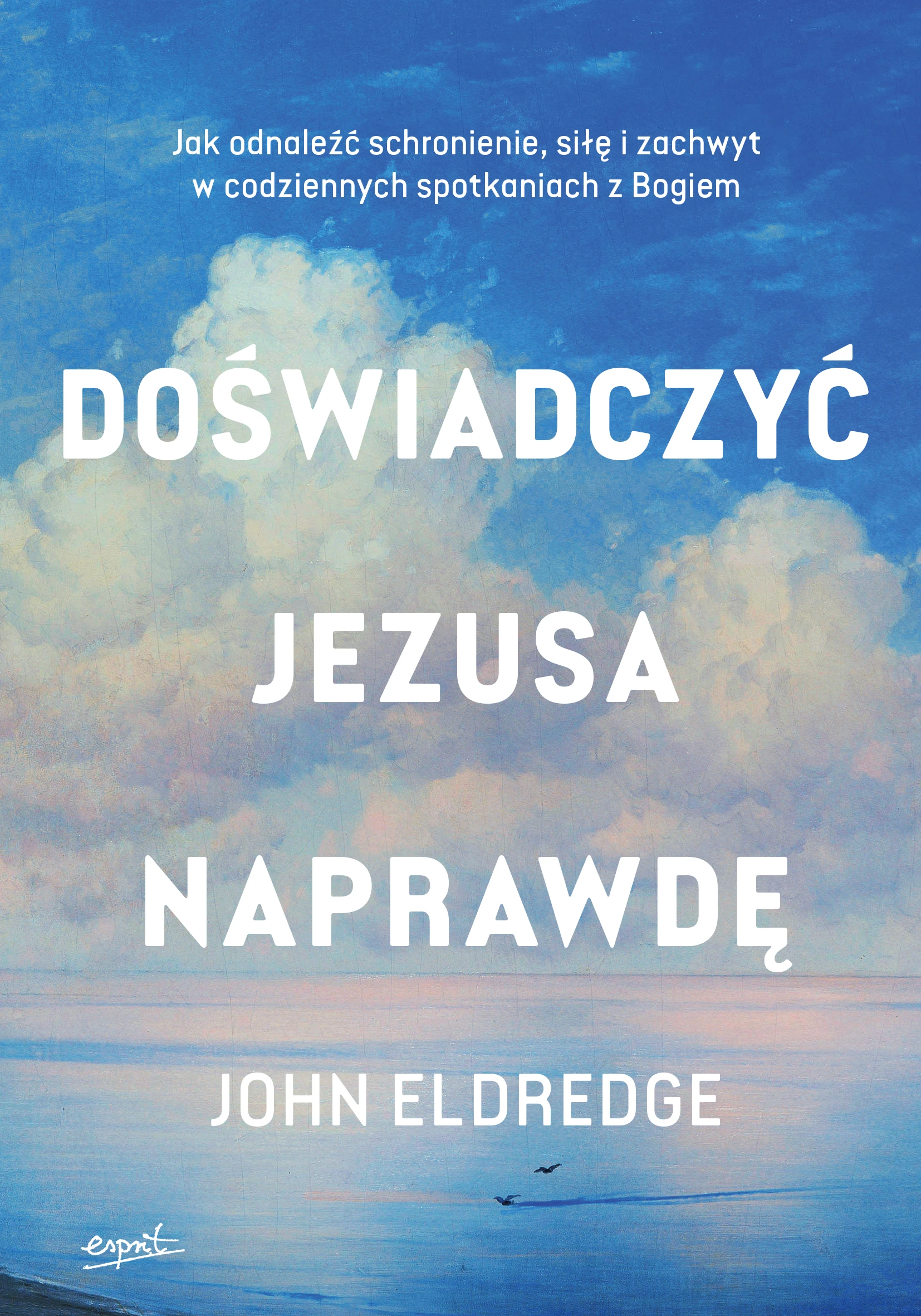 Doświadczyć Jezusa naprawdę. Jak odnaleźć schronienie, siłę i zachwyt w codziennych spotkaniach z Bogiem - Książki